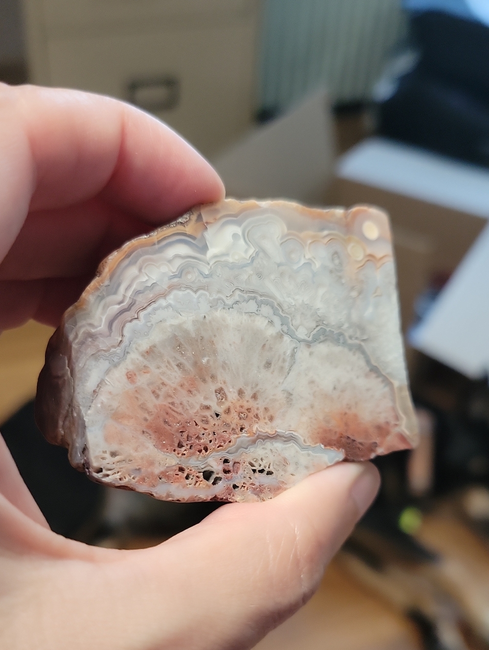 Polished Crazy Lace Agate Geode Slice - Crystal